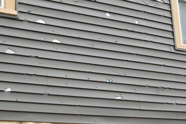 Professional Junk Removal in West View, PA